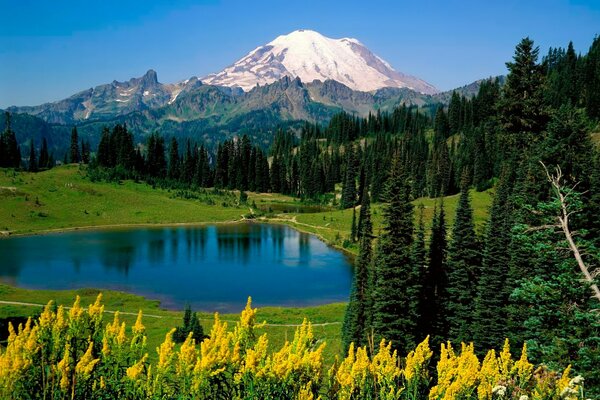 Paysage alpin: prairies, lac de montagne et montagnes