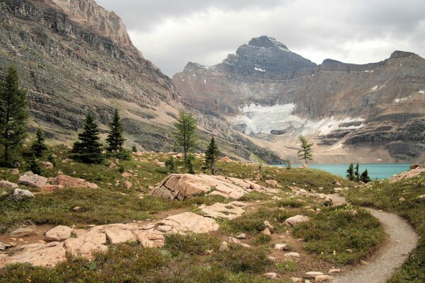 Un camino estrecho en un desfiladero de montaña