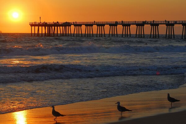 Mesmerizing sunset with seagulls at the pier