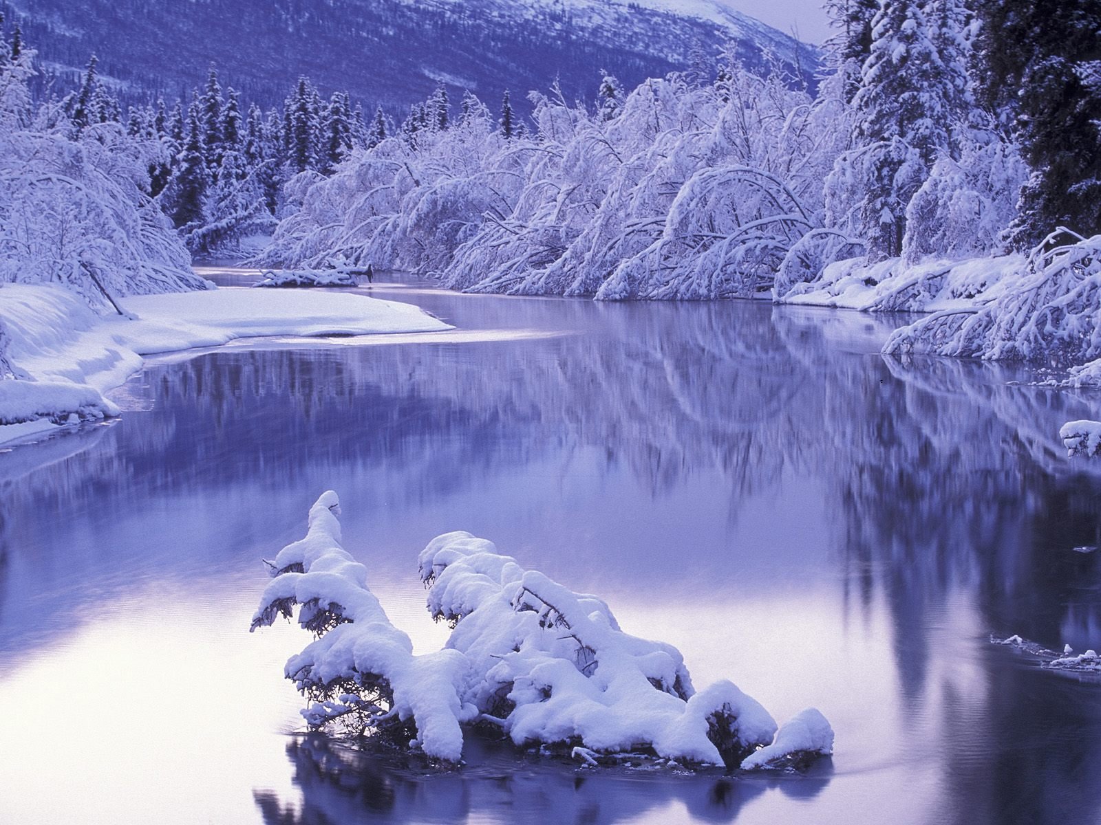 hiver paysage hiver rivière neige