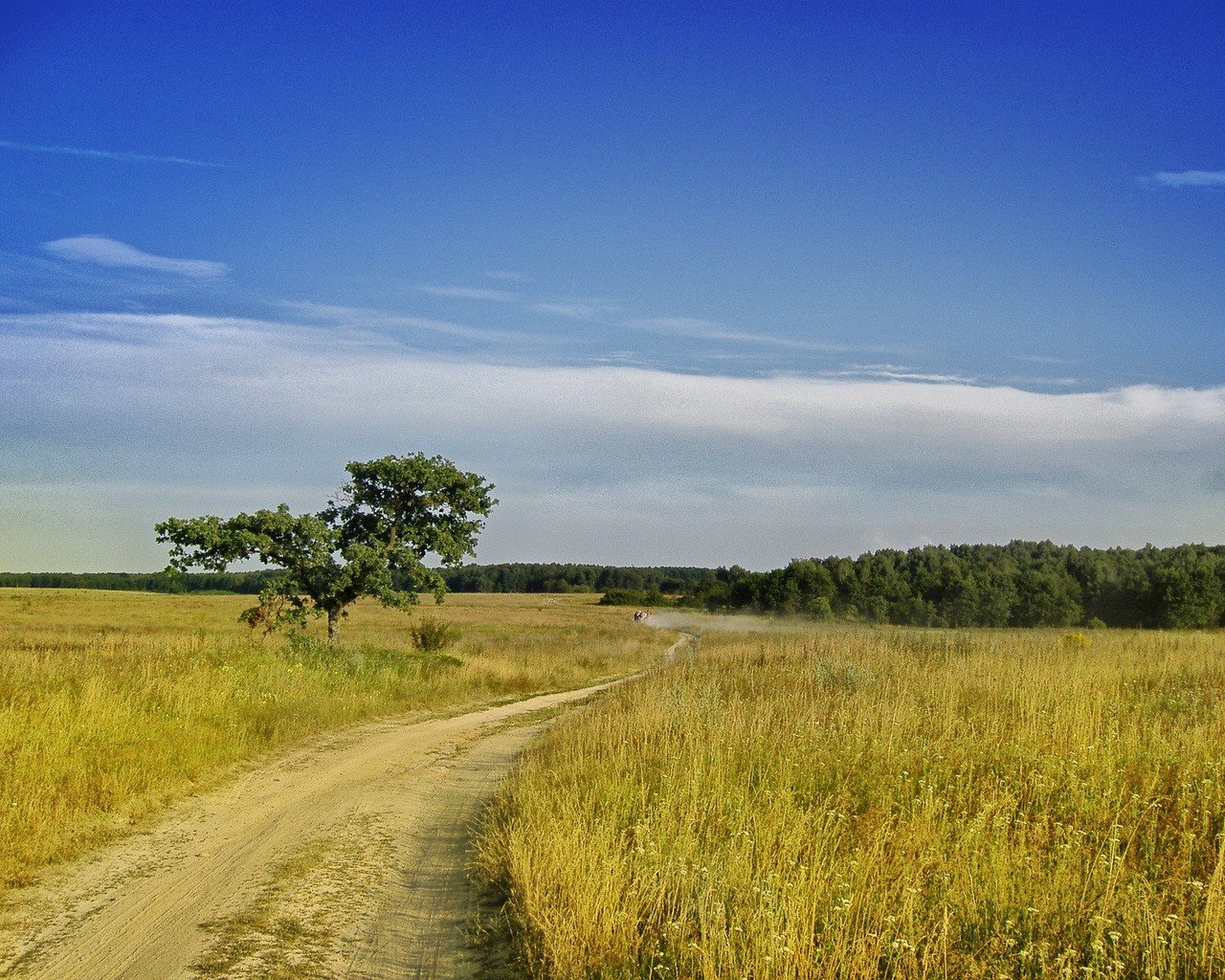 champ été route