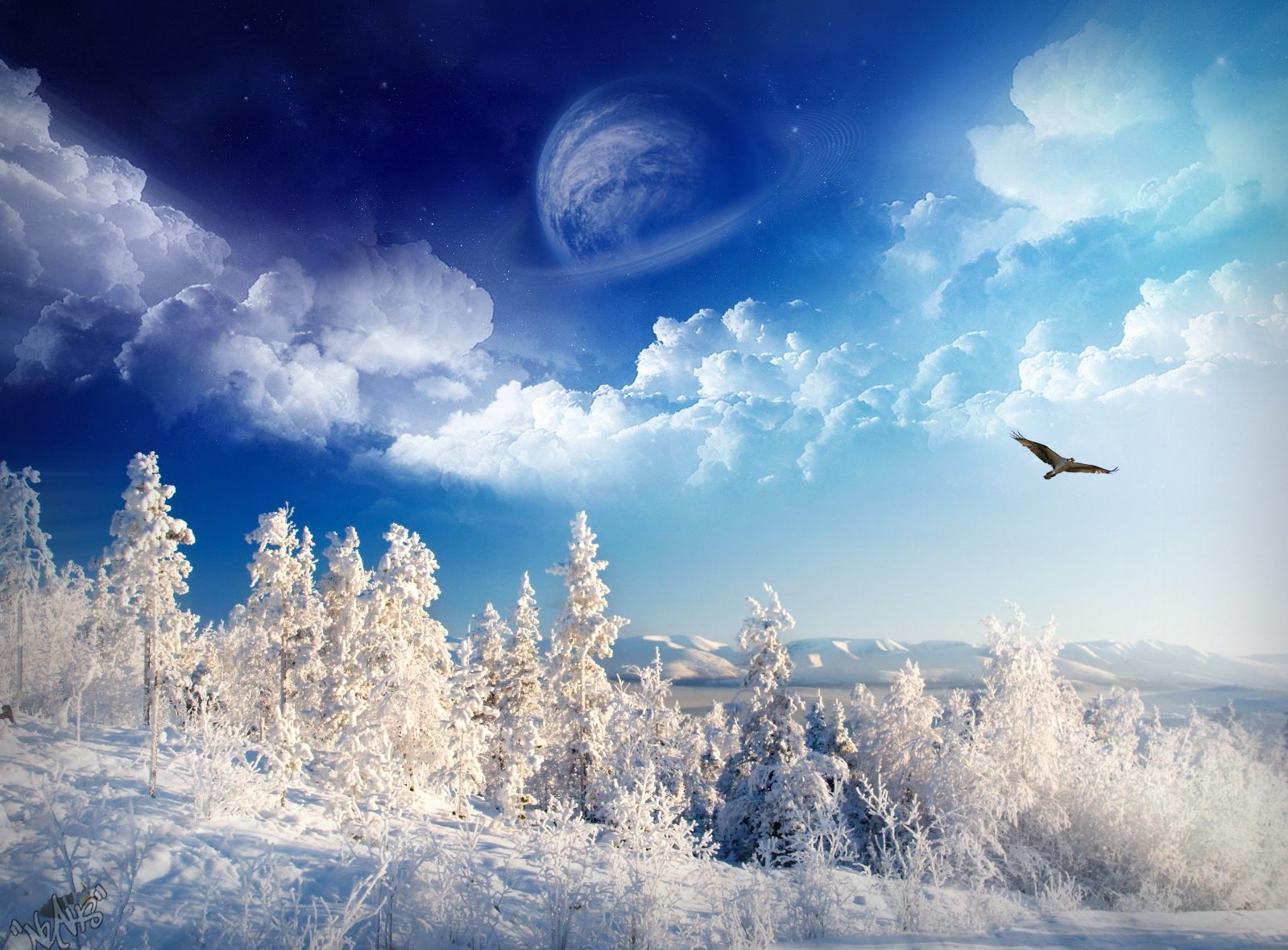 winter planet snow tree eagle sky