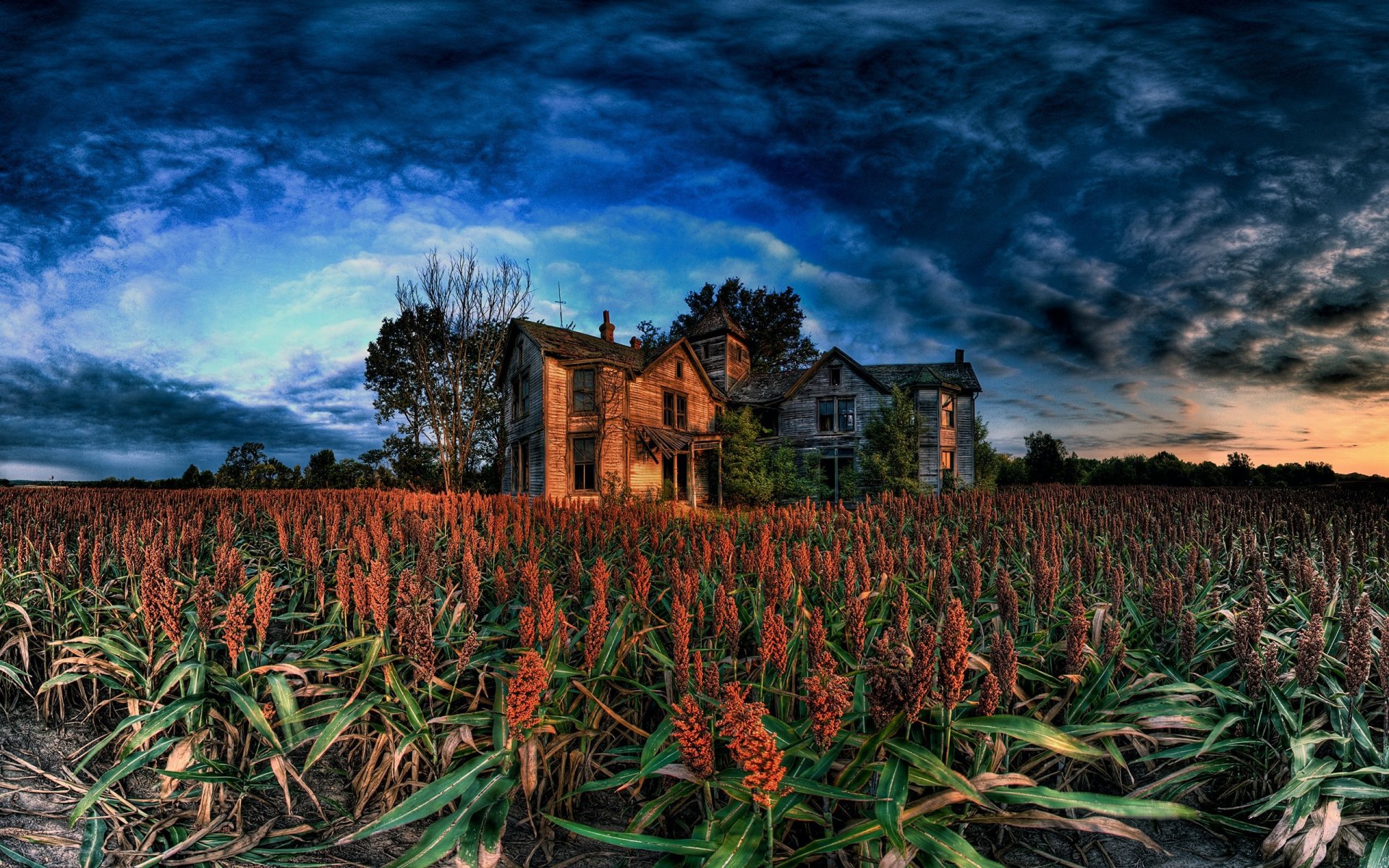 feld haus zusammengebrochen wolken