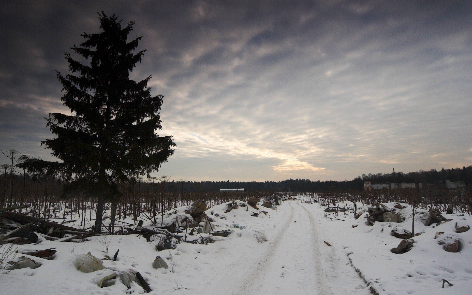 hiver route ordures arbre ciel tristesse