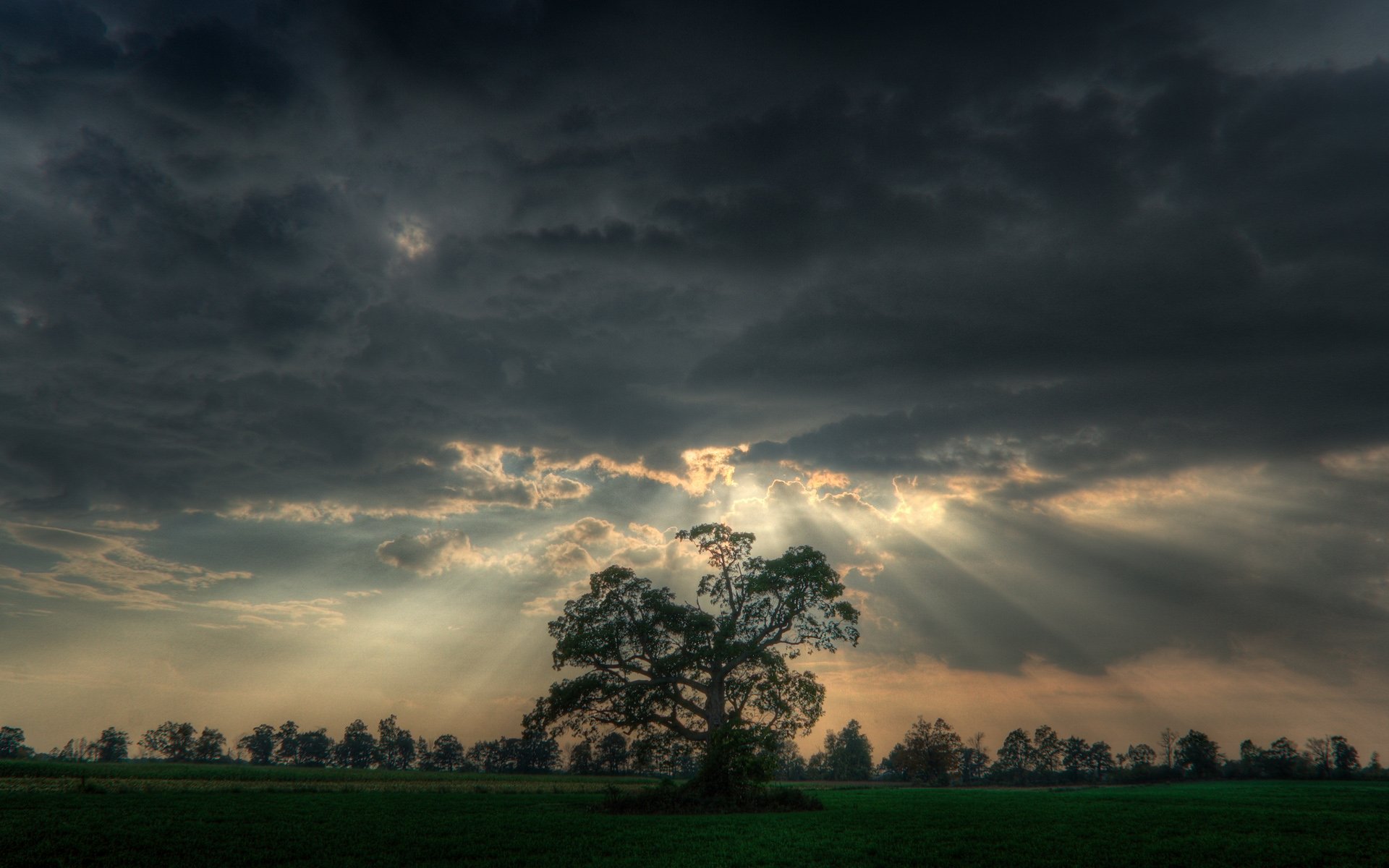 albero raggi nuvole