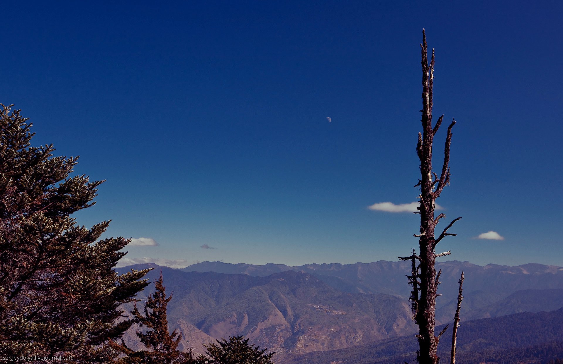 branche montagnes ciel