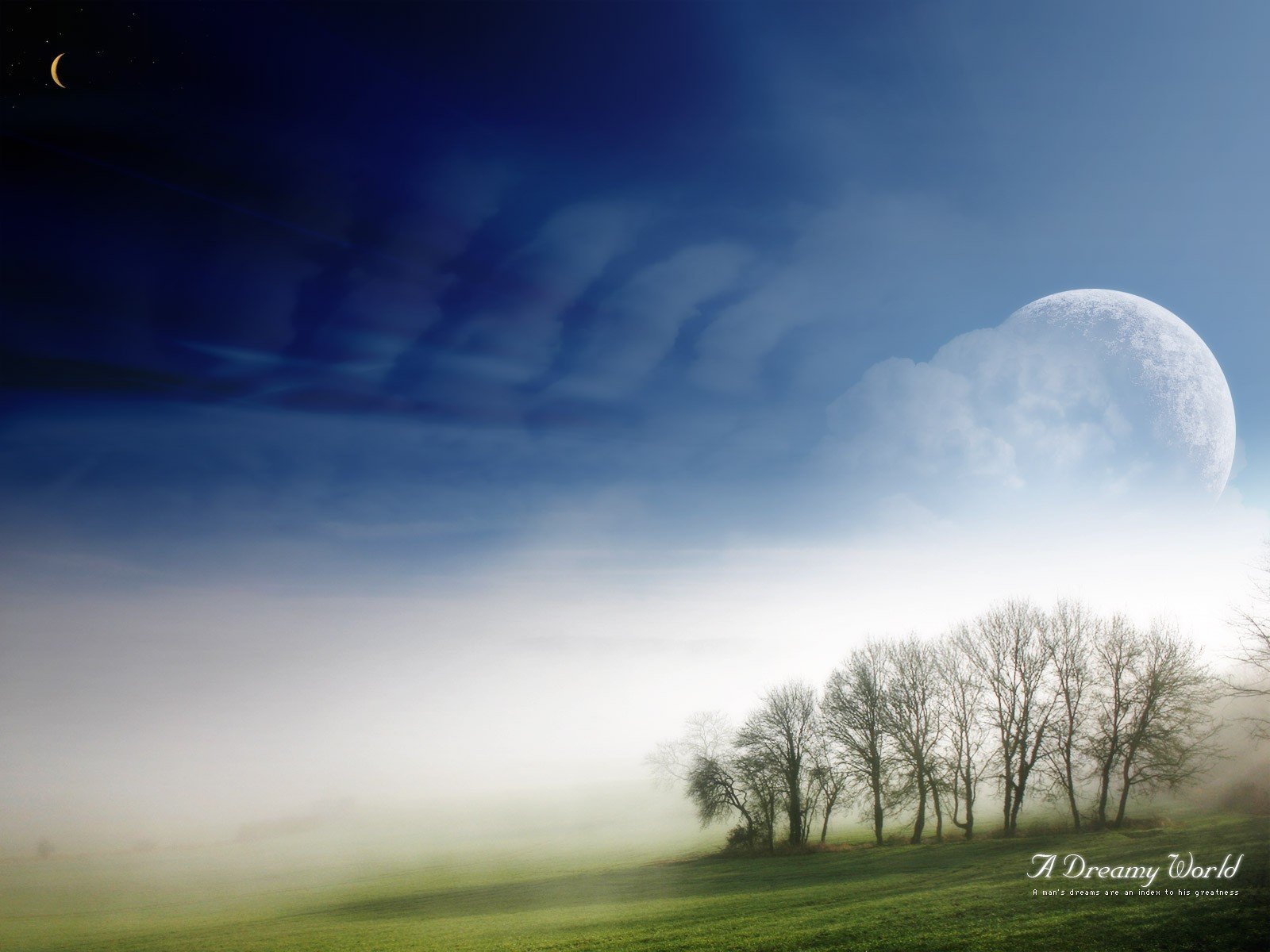 mundo de ensueño niebla árboles cielo