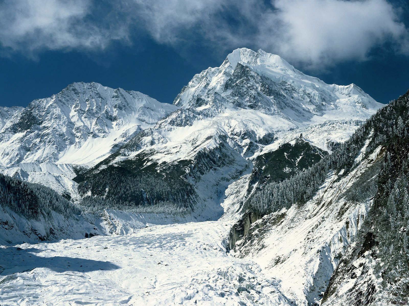 mountain snow sky clouds forest christmas tree winter