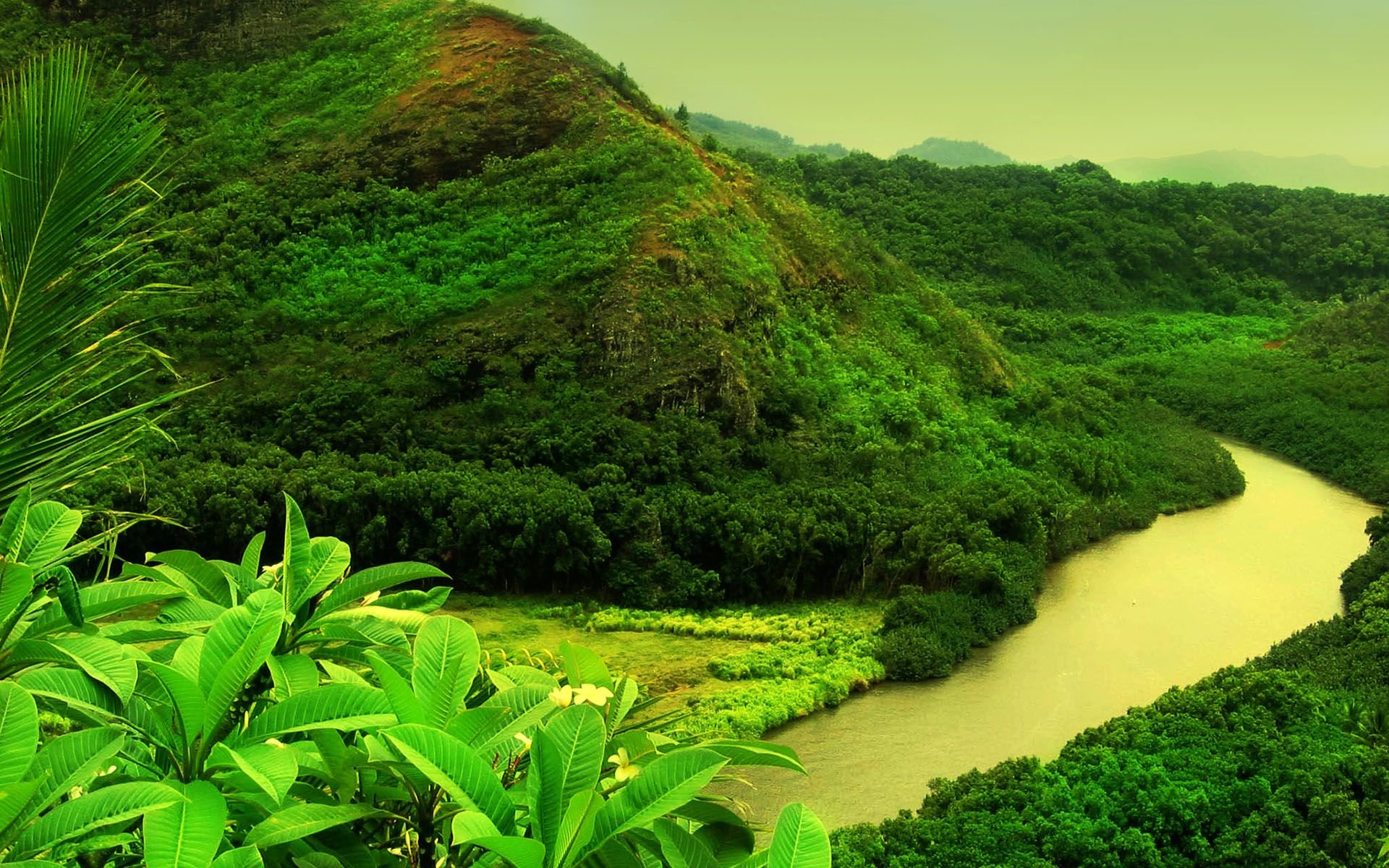 montagne verdure rivière