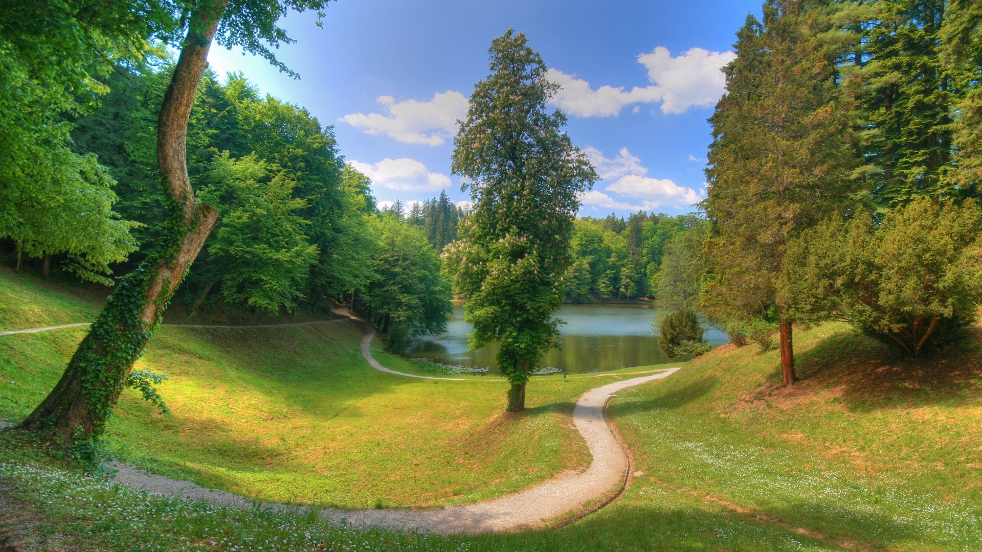 teich bäume weg wolken