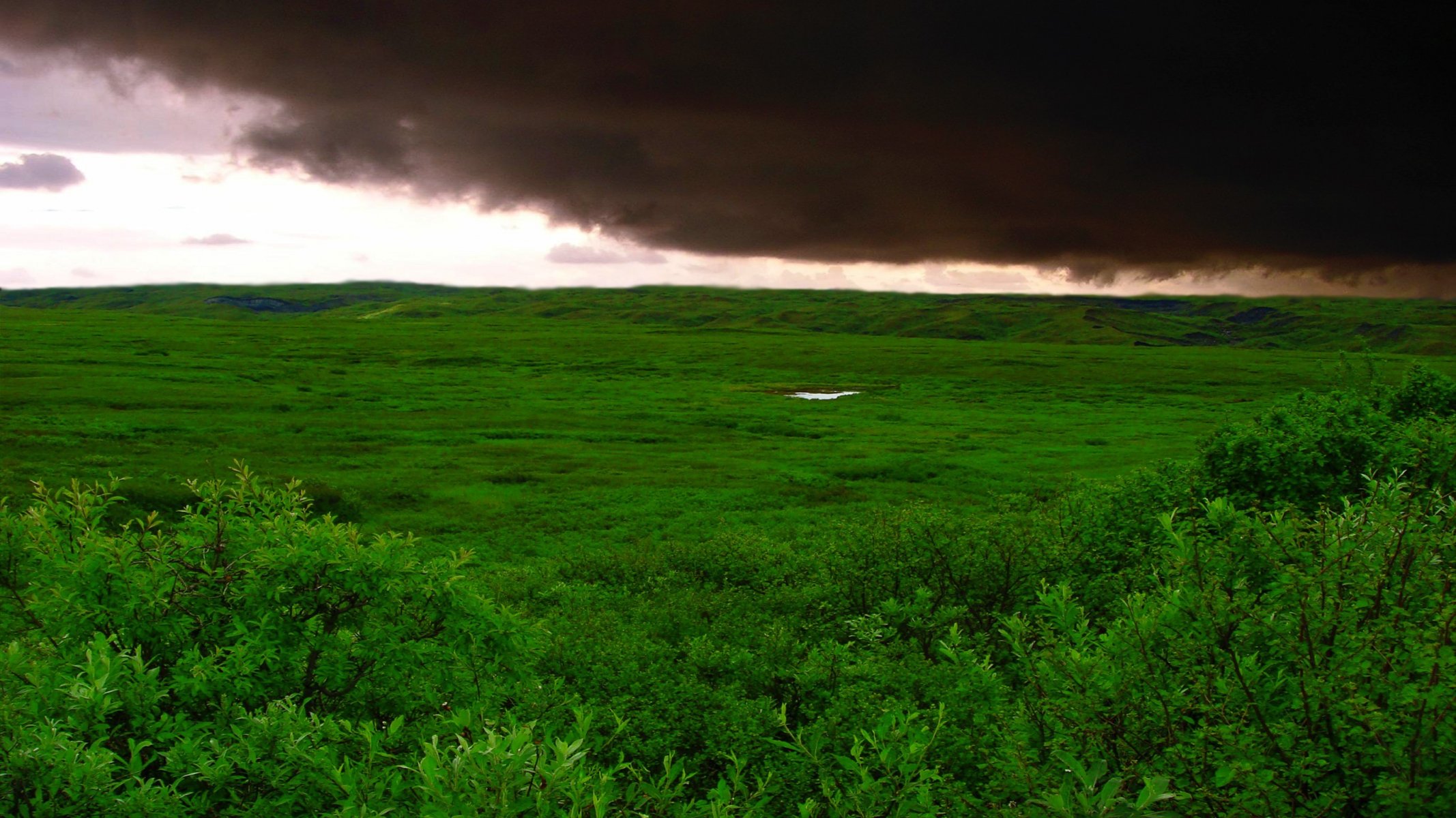 verde erba nuvole tempesta campo