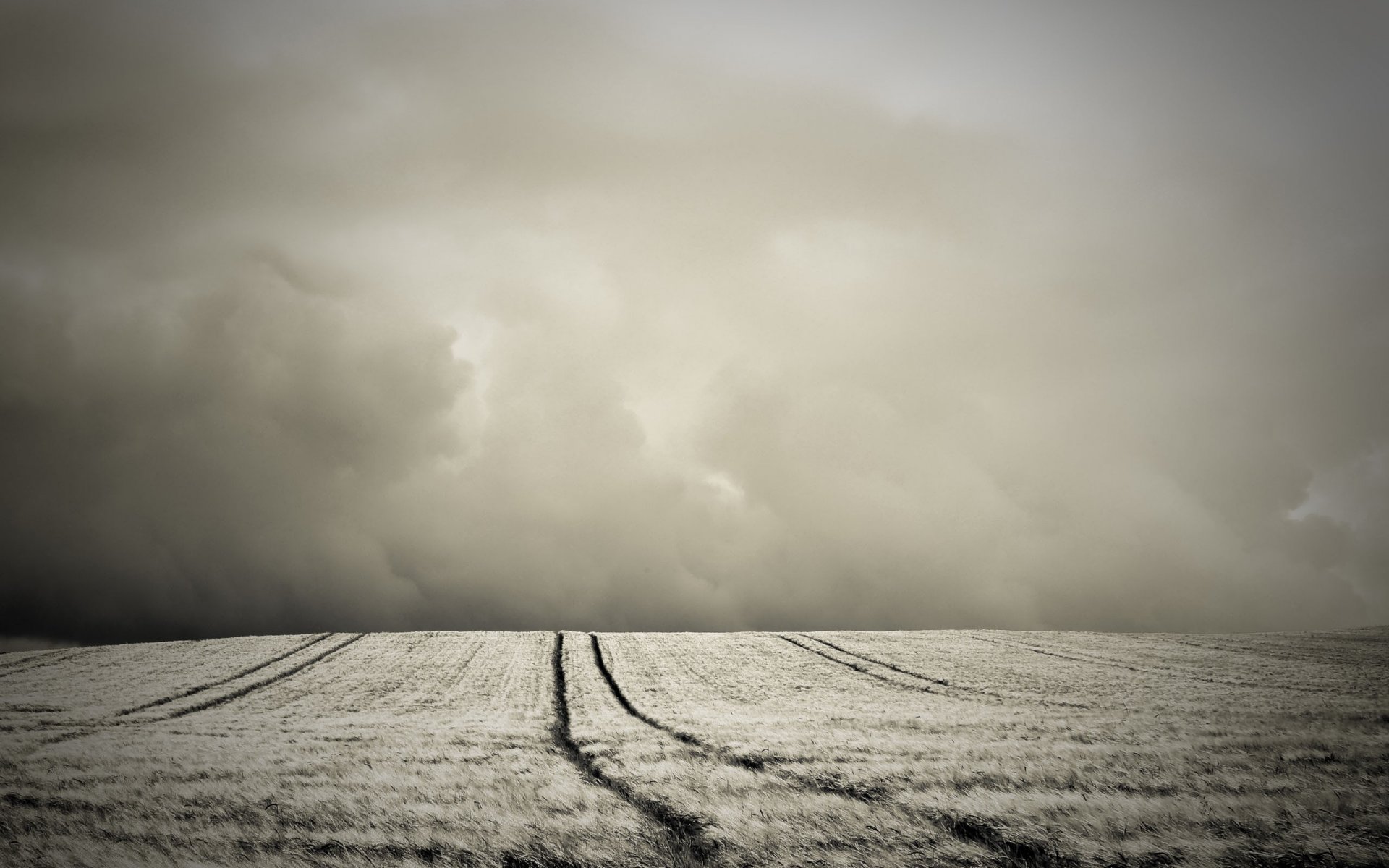 campo colina sepia