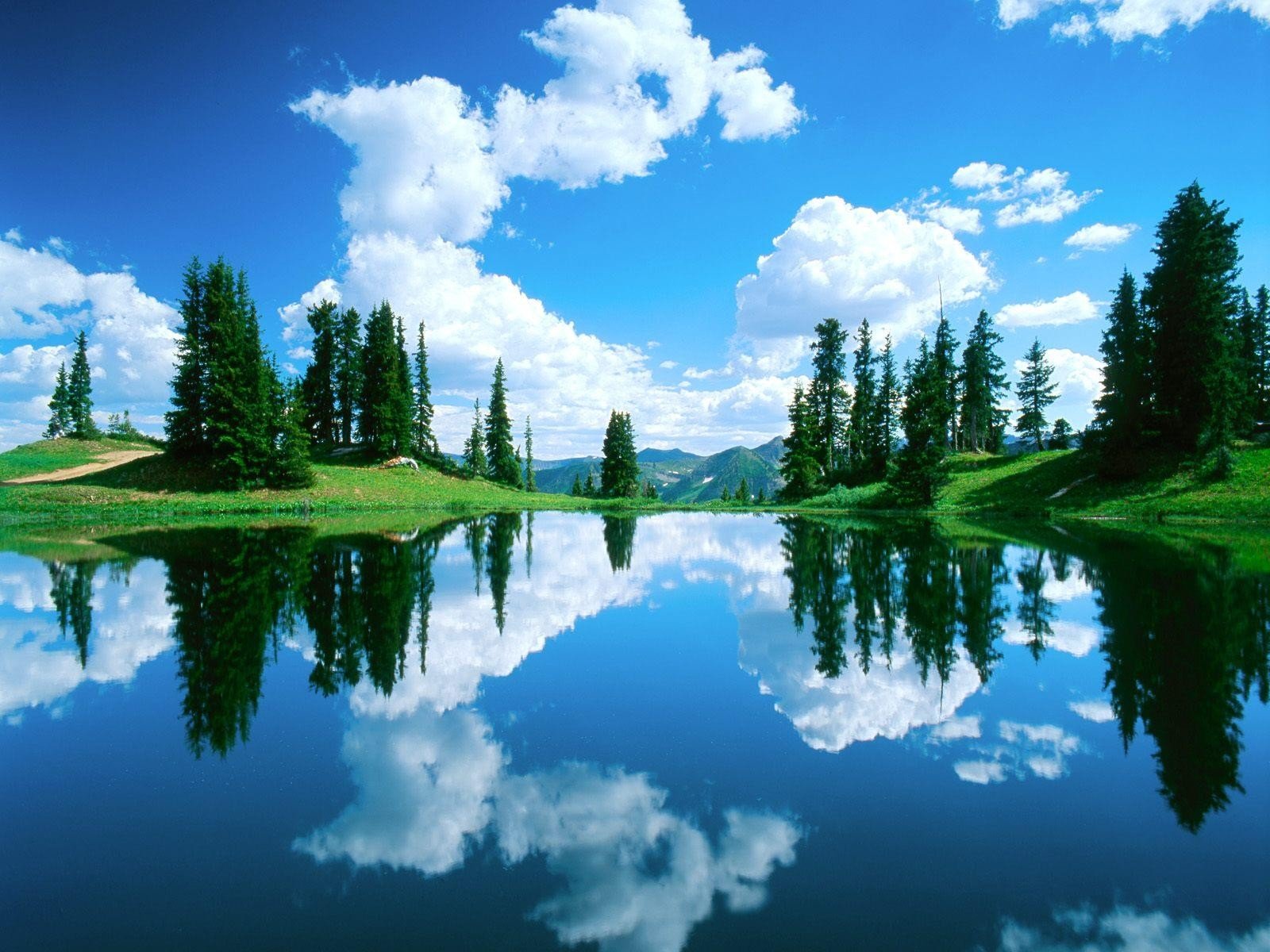 forest water clouds sky