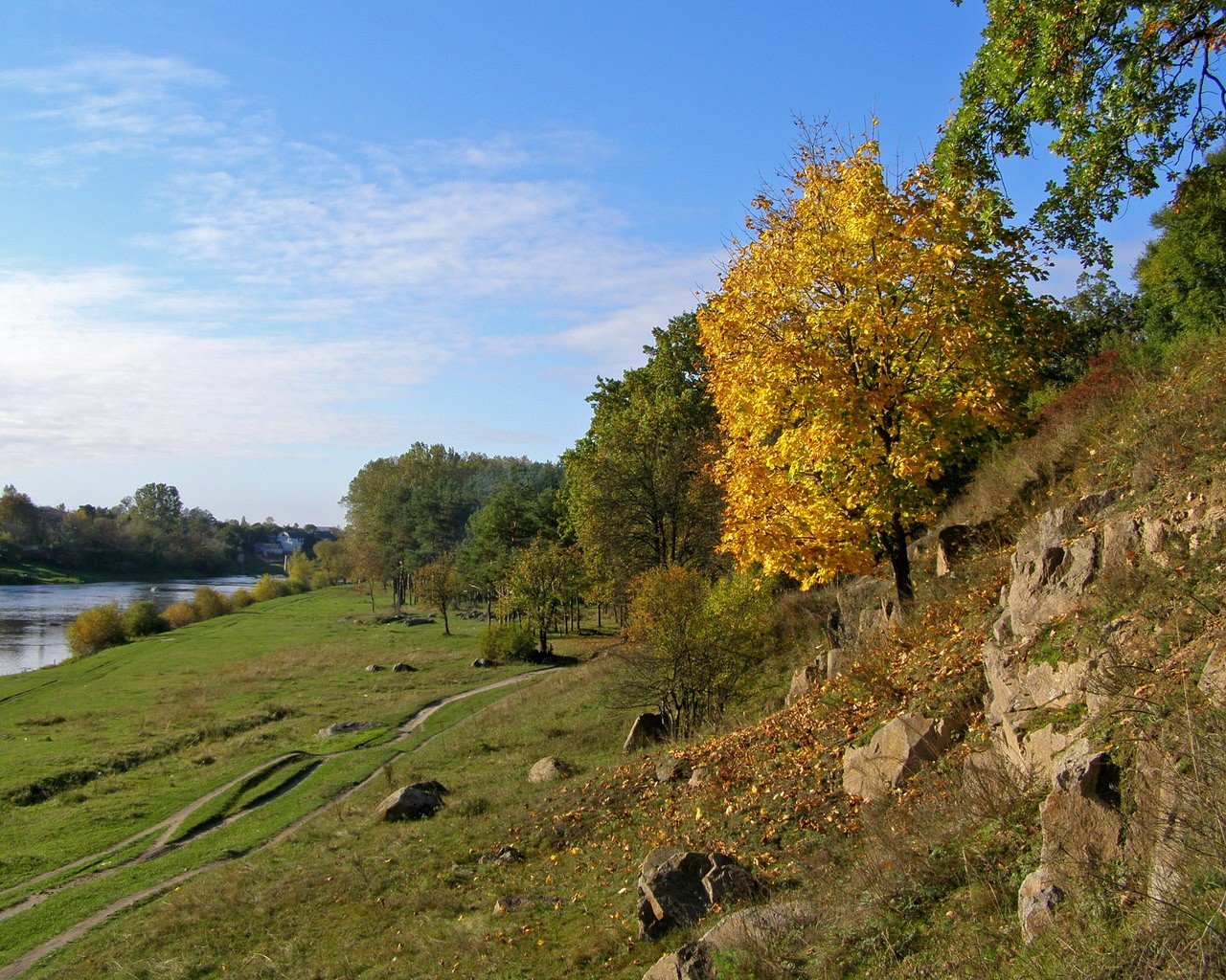 herbst bäume ufer