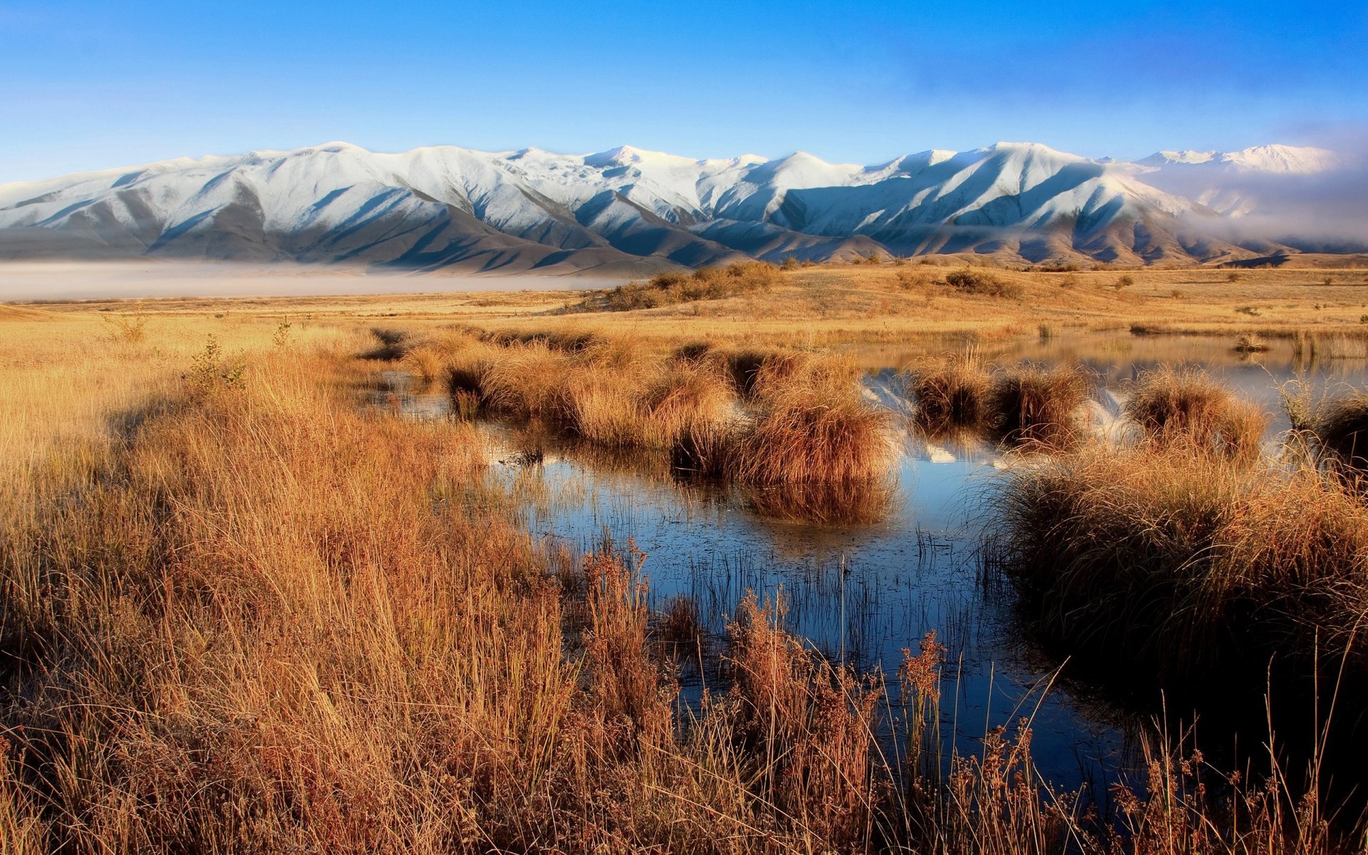 bog mountain new zealand gra