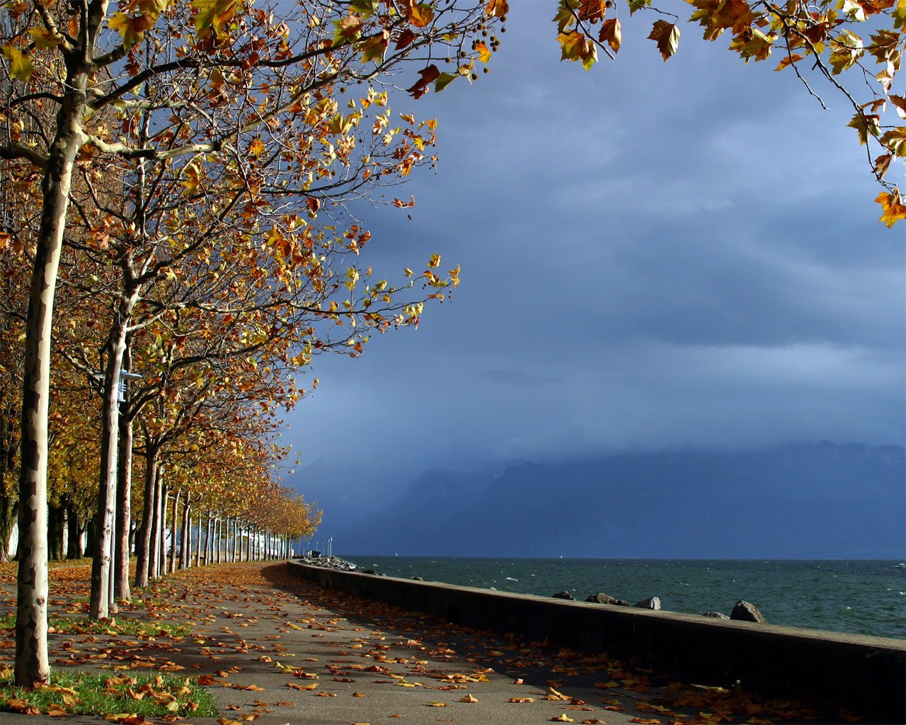 vicolo parco alberi autunno foglie acqua mare cielo orizzonte