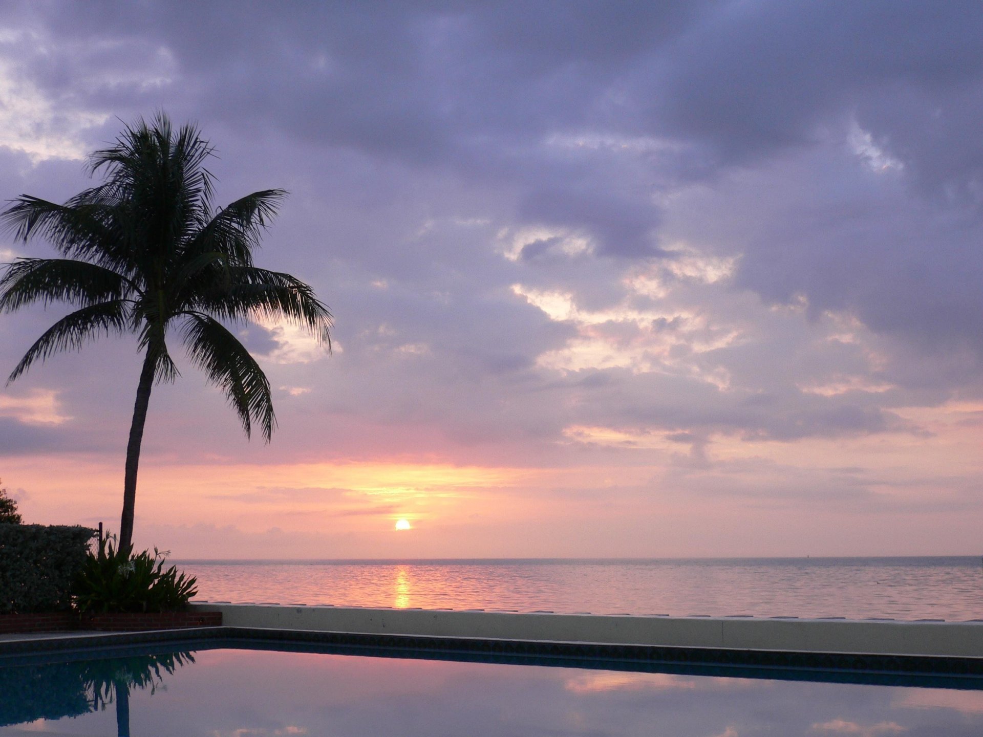 palme sonne pool meer wolken