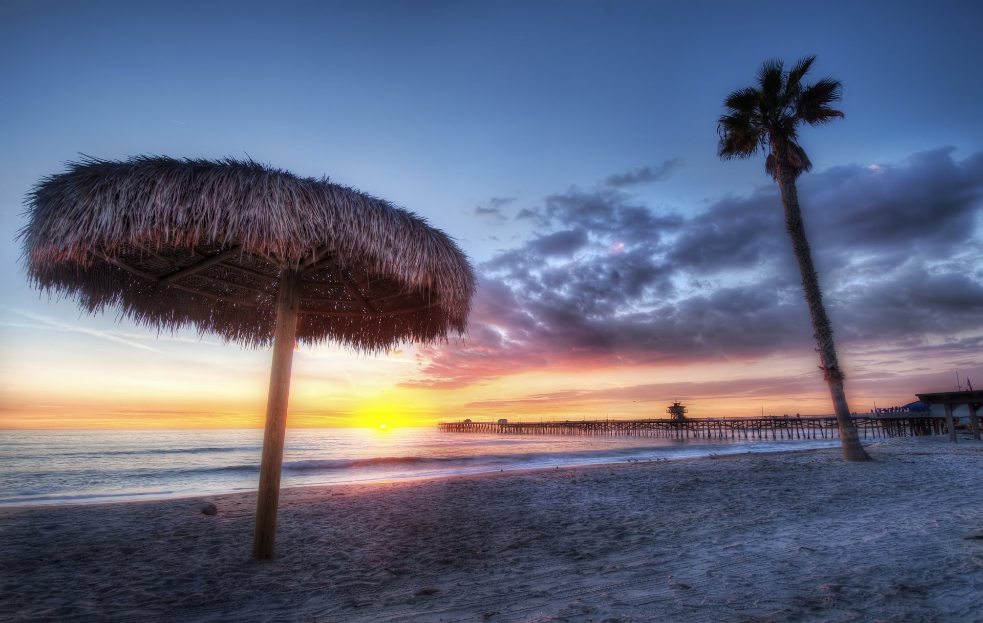 plaża zachód słońca brzeg palma