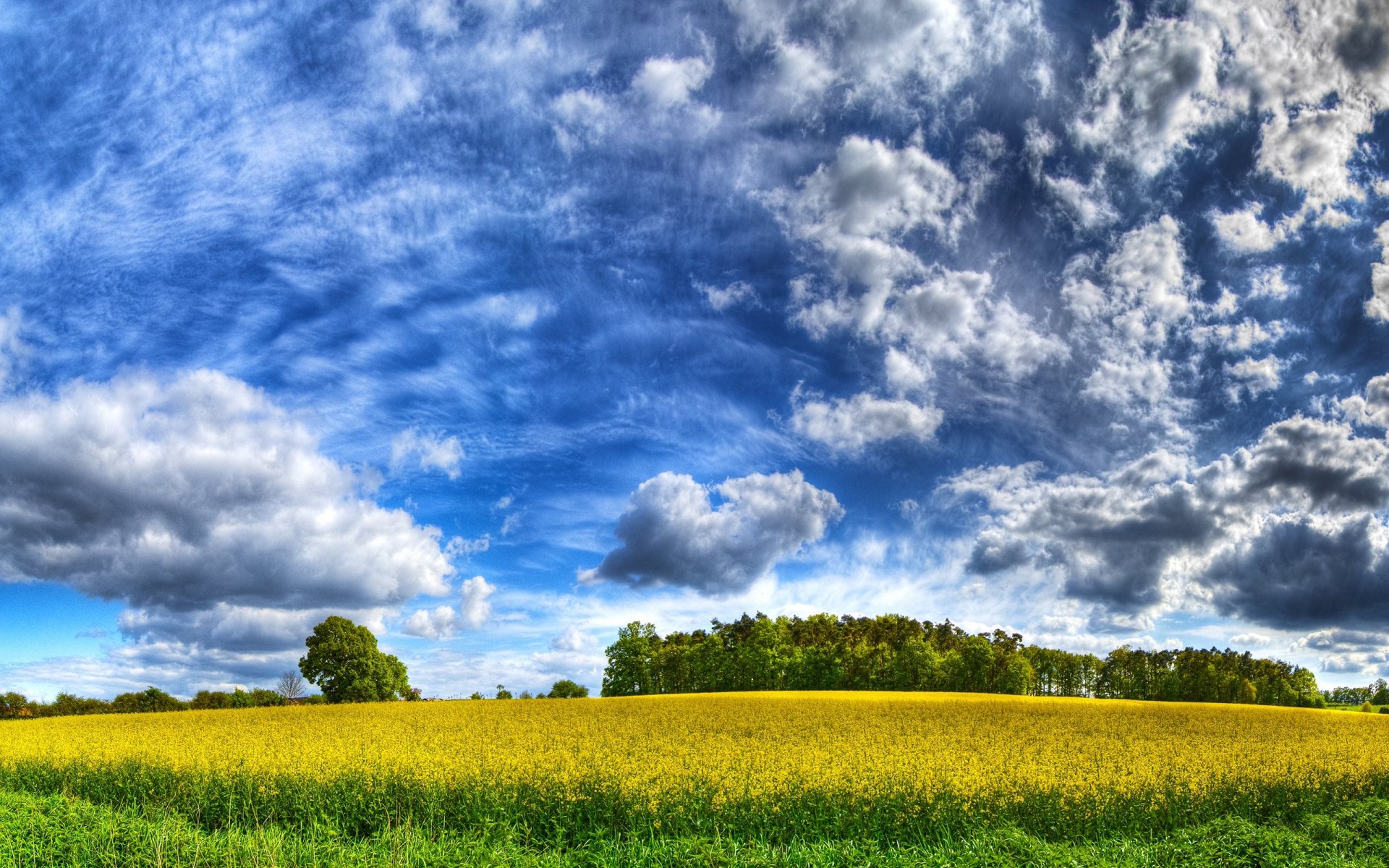 cielo campo nubes amarillo