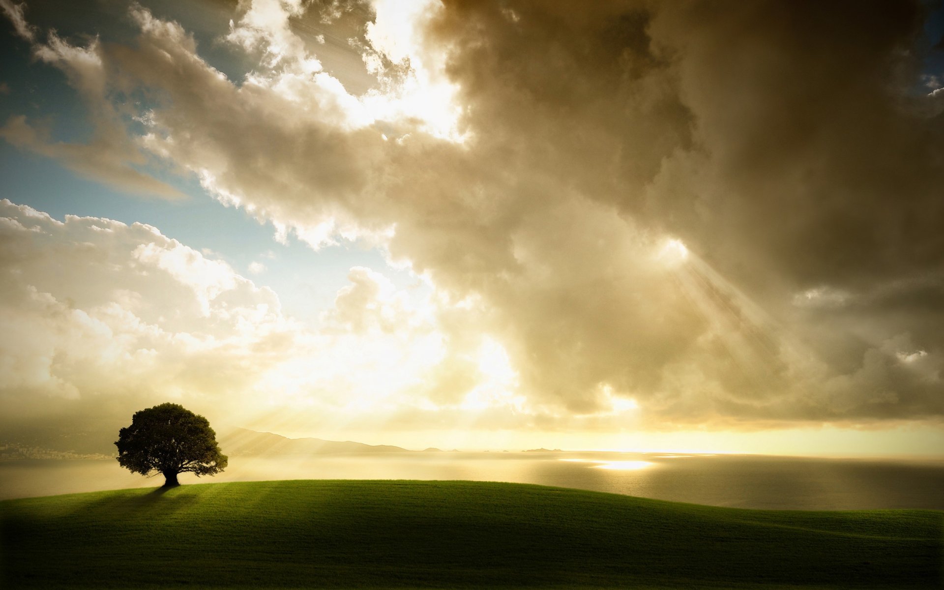 light clouds tree