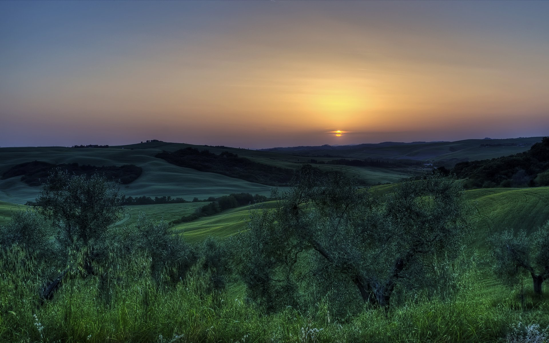 italy sunset sun tree