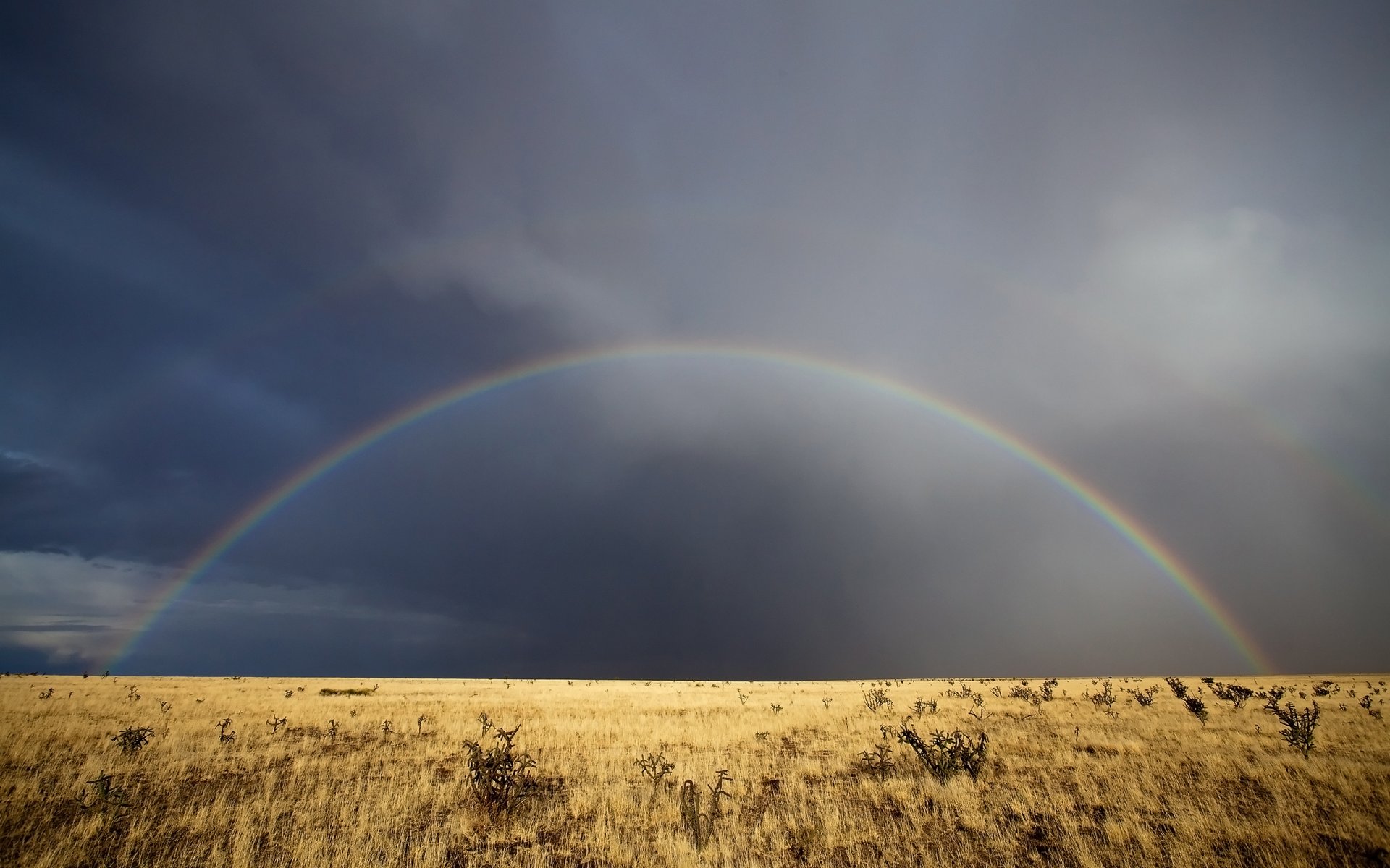 nuages herbe nouveau-mexique arc en ciel ciel