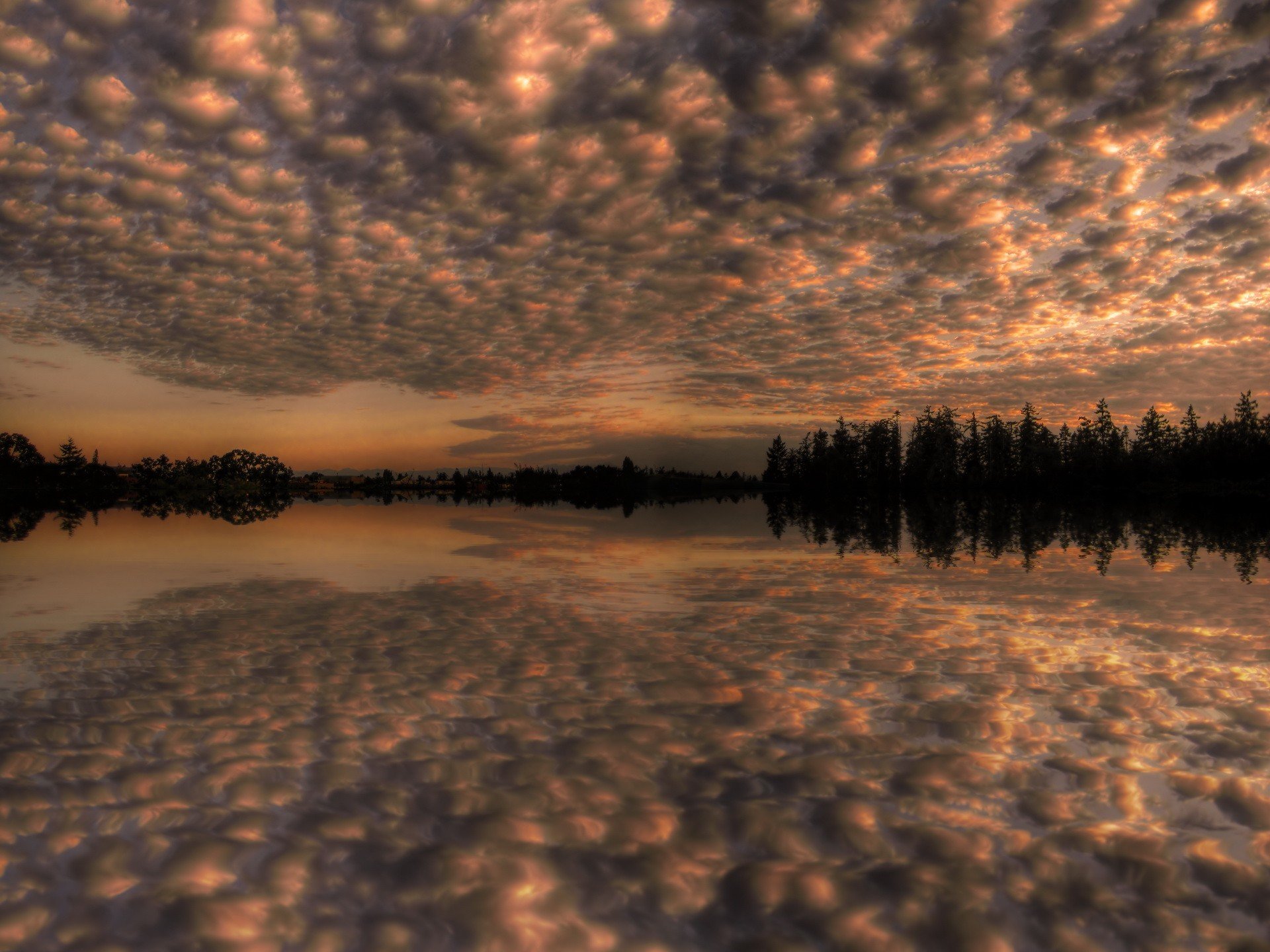 ciel nuages réflexion arbres lac