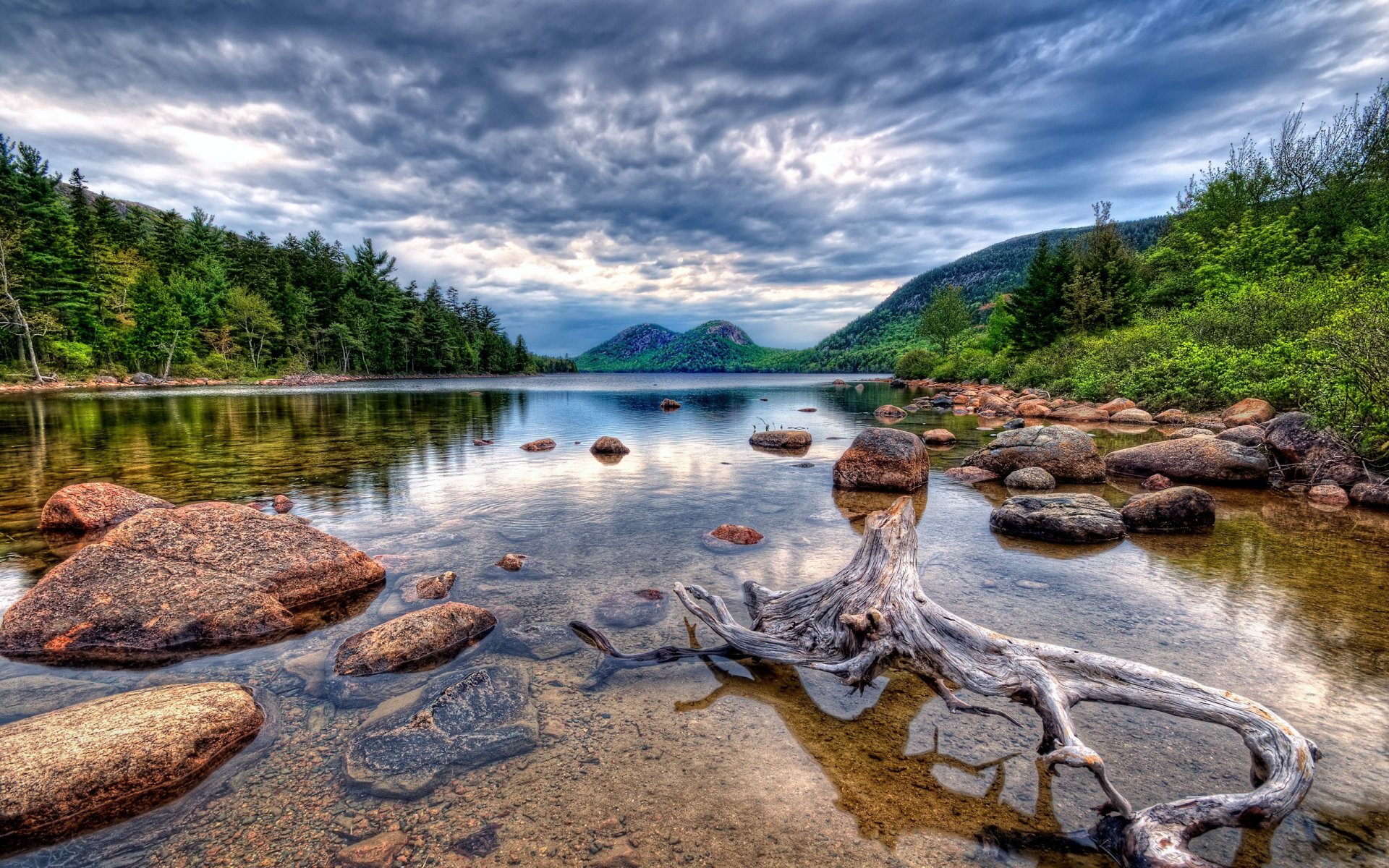 lake stones root snag