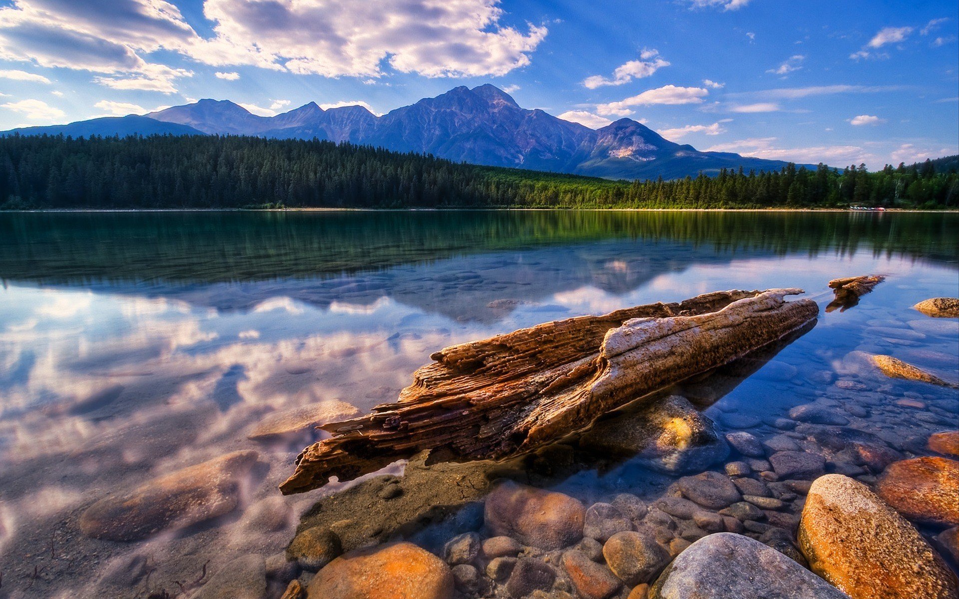 montañas lago tronco