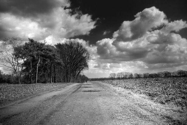 Black and white picture. The road past the field