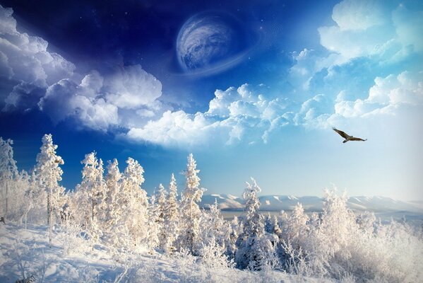 Zimowa śnieżna przestrzeń na skrzydłach