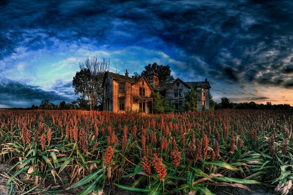 Rovine di un vecchio castello nel campo e sopra di esso un cielo tempestoso