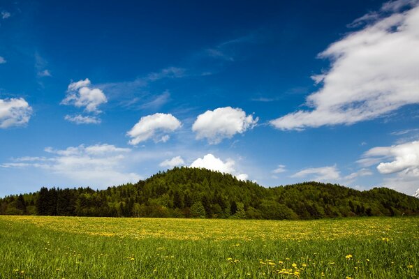 Grüne Hügel und Österreichs Frühlingsnatur