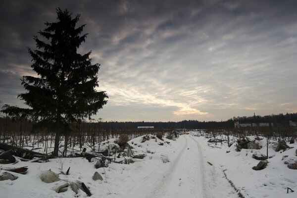 Foto del camino vacío en invierno