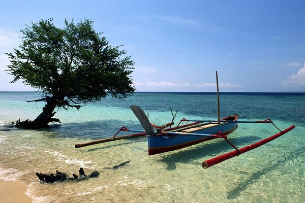 Лодка под деревом на заброшенном пляже