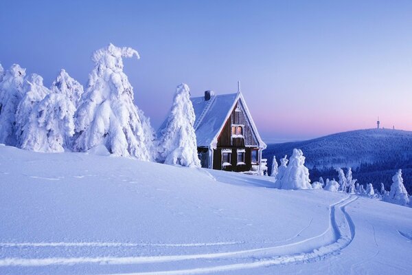 Snow-covered trees and a cozy house