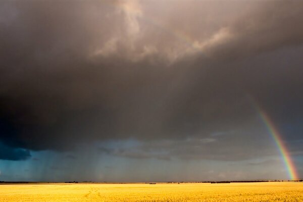 A bright rainbow in the sky above the field