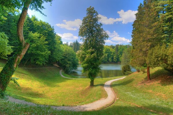 The path to the pond among the trees and clouds