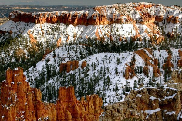 Paesaggio di montagne innevate e alberi