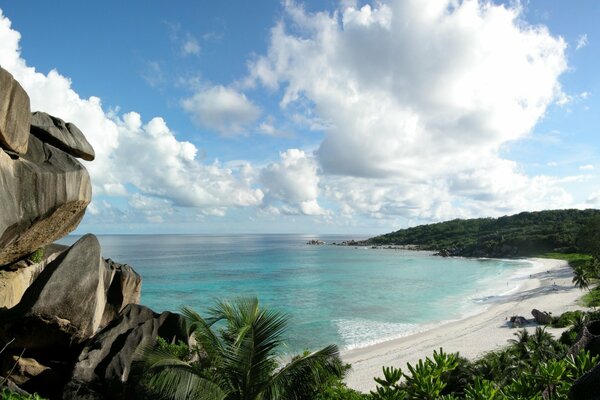 Playa de arena blanca junto al agua azul