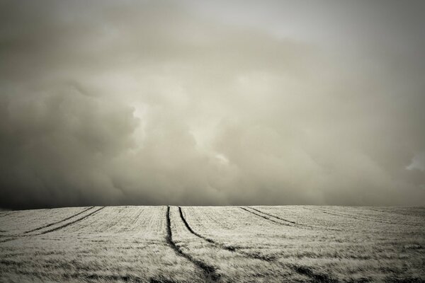 Monochromes Bild der Straße im Feld