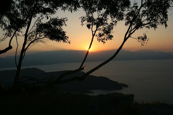 Tramonto serale. Alberi e mare