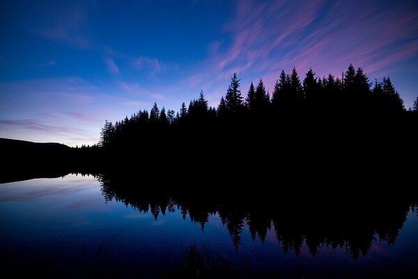 Evening reflection of the forest on the lake