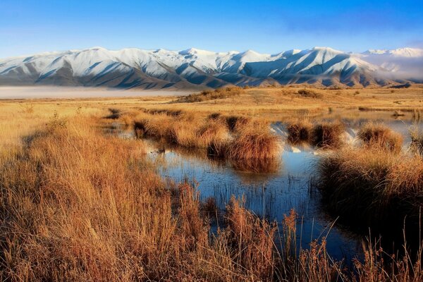 Dry grass by the water. snowy mountains. beautiful view