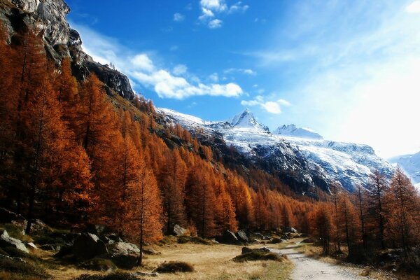 Schneebedeckte Berge und schöner Wald vor dem Hintergrund des rauhen Himmels