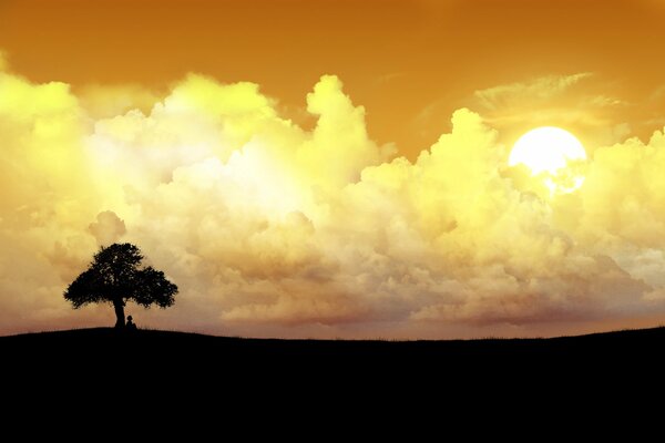 Orizzonte meditabondo dove il sole al tramonto canta una canzone a un albero solitario