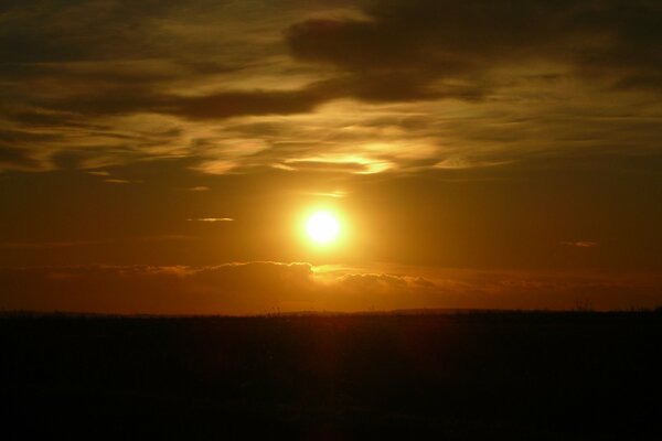 Evening sunset. Steppe and sun