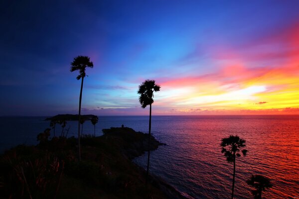 Palmiers au coucher du Soleil en Thaïlande