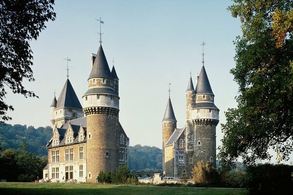 Старинный бельгийский замок в лесу