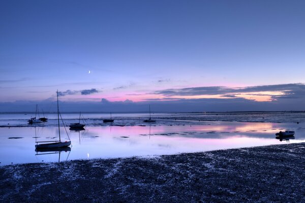 Calm ocean shore with yachts